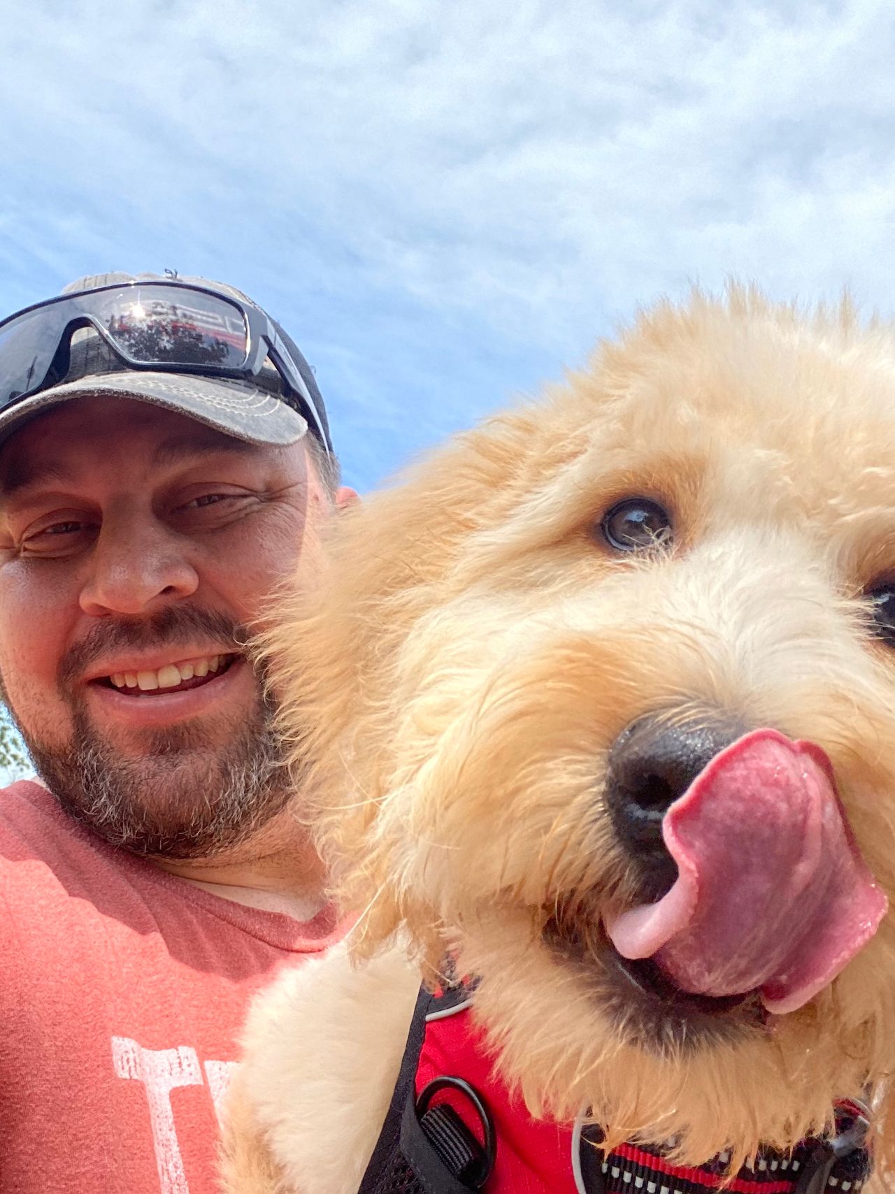 Compassionate Pet Shipping in San Antonio, TX CitizenShipper