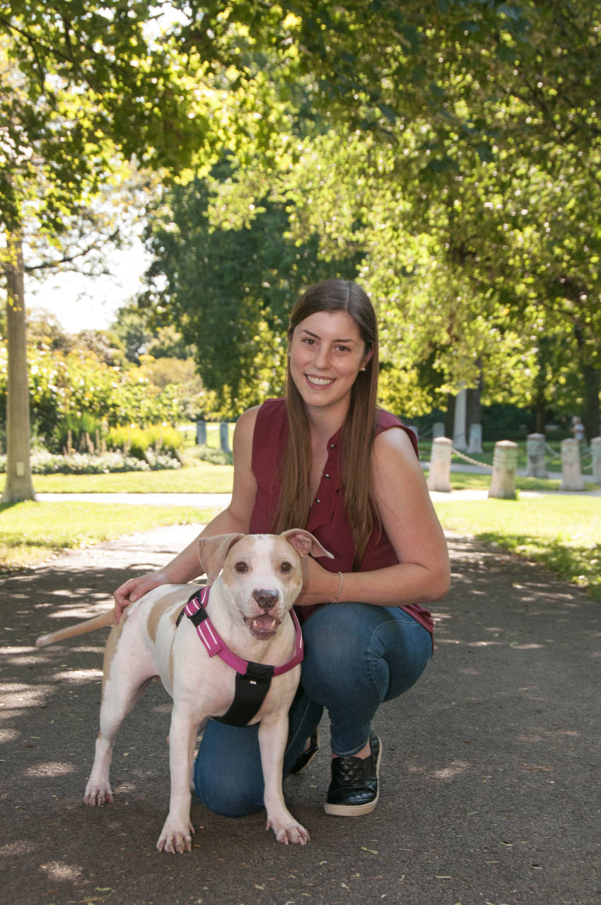 Trusted Worcester Pet Transport CitizenShipper - Main Image