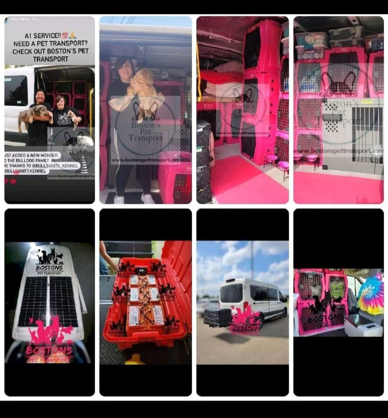 Efficient Temple Pet Transport CitizenShipper