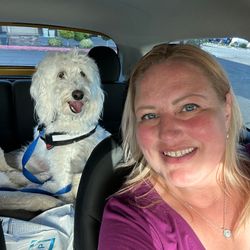 Pet Cab for Cutie