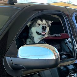 Big Dog Logistics Group, LLC