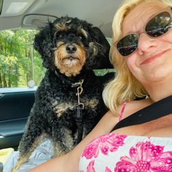 Treasured Transports