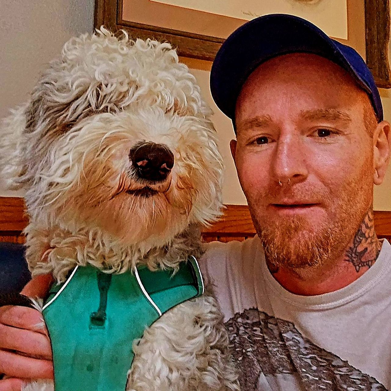 Top Clearwater Pet Transport Safe Reliable CitizenShipper