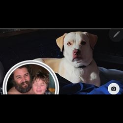 Ease of mind transportation 