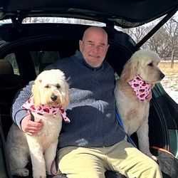 Ryan’s Luxury Pet Transport