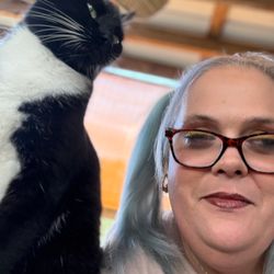 Stop Traffic Pet Transport