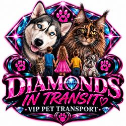 Diamonds In Transit VIP