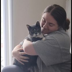 concierge pet transport