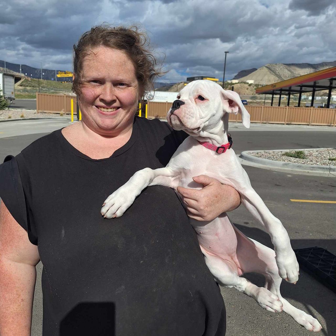 Kahoots Temecula Kahoots Dog Store El Cajon's Premier Pet