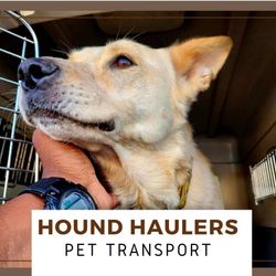 Hound Haulers Pet Transport