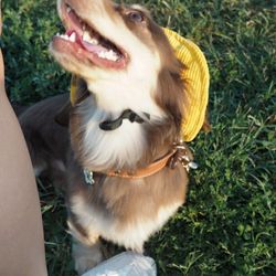 FDH Transportation Service