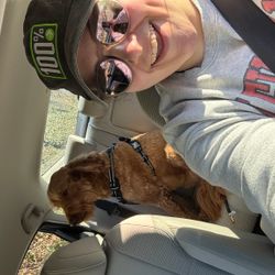 VDZ Petcare