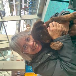 Come-Bye Pet Transport LLC
