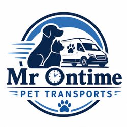 Mr. On Time Pet Transports 