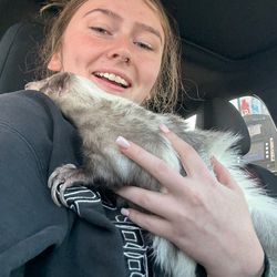 HappyFetch Delivery LLC