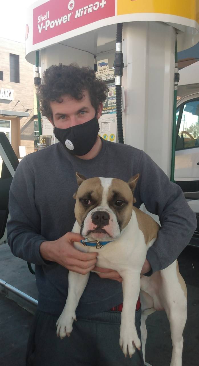 Top Pet Transport in Durham, NC CitizenShipper