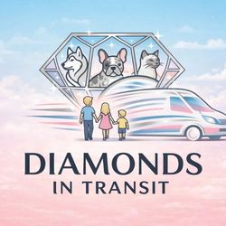 Diamonds In Transit VIP