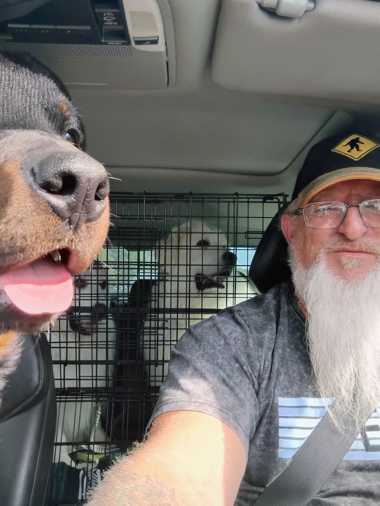 Top Copperas Cove Pet Transport Quick Safe CitizenShipper