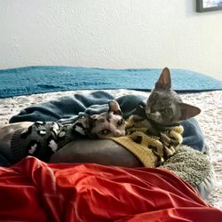 Dimensional Logistics