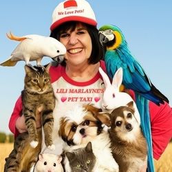 Lili Marlayne's Pet Taxi