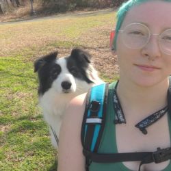 Nomad Tails Pet Transport 