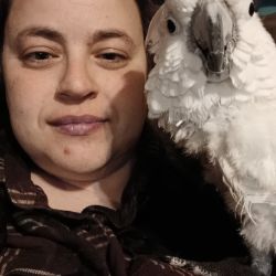 Wild Wolf Transportation, LLC.