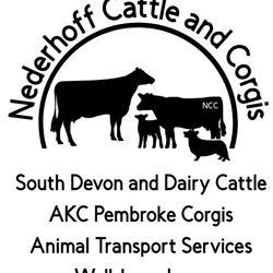 Nederhoff Transport Services