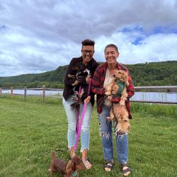 Western Division Pet Transport LLC