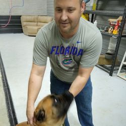 Happy Paws Transport