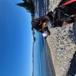 NCR Roadside Transport