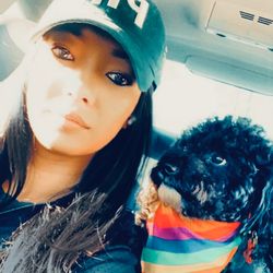 Kay Pet Ride