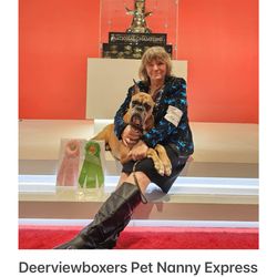Deerviewboxers Pet Nanny Express