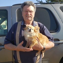 Happy Trails Pet Transport--USDA